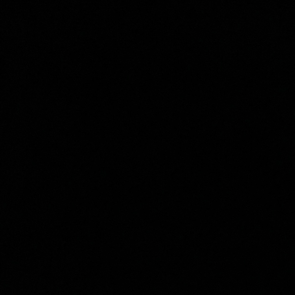 IGNORE